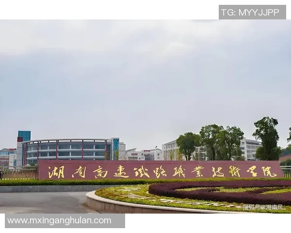 中国体坛崛起与挑战：从传统项目到新兴体育全面发展之路