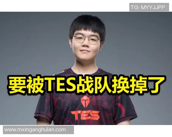 TES战队个人能力分析：在职业联赛中的表现与潜力探讨