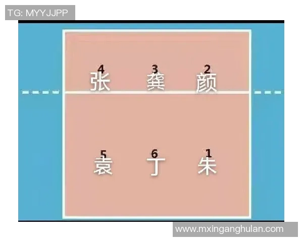 广州排球队进攻体系解析：排球战术的创新与应用探讨