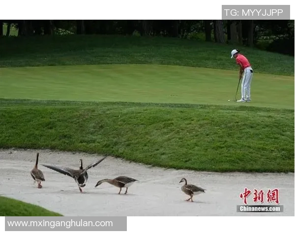 高尔夫球赛激战正酣精彩瞬间展现顶级球员实力与激情