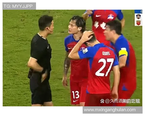 南京排球队比赛经验引发热议球迷观点分歧引发关注