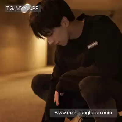 沈辉
